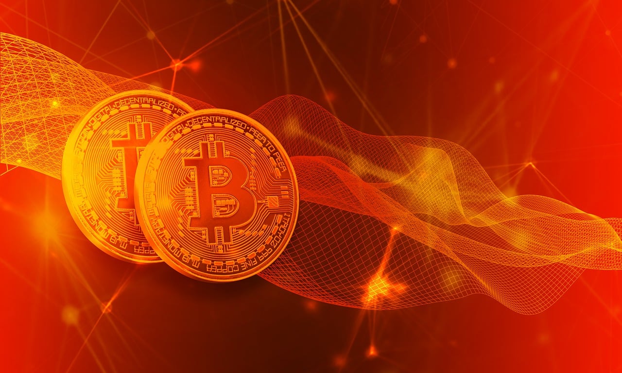 最新综合网，数字时代的先锋，信息汇集平台
