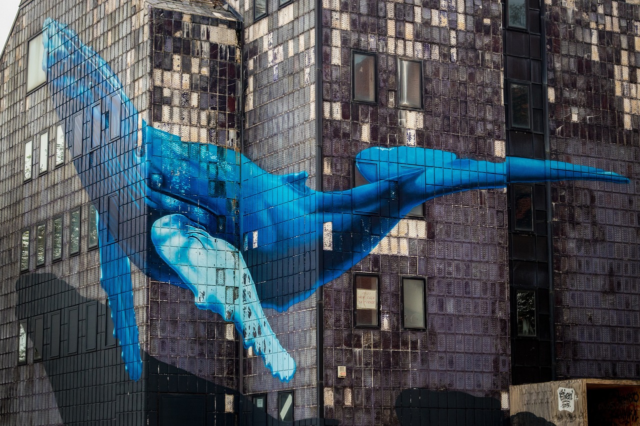 日本最新理论片,文化、技术与艺术的交融探索