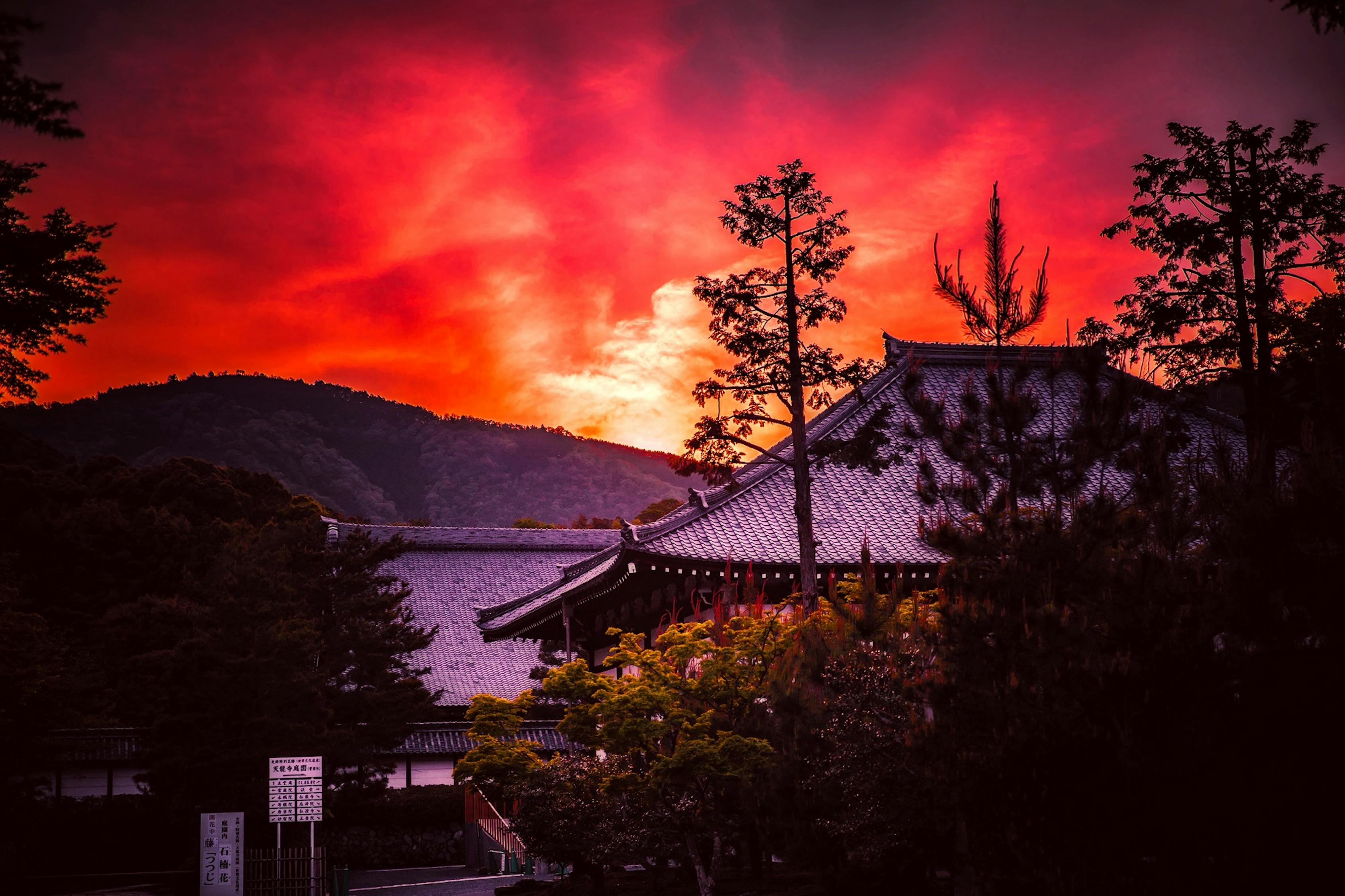 归路电视剧，探寻人生之路的情感深度与成长之旅